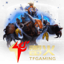 IM Esports